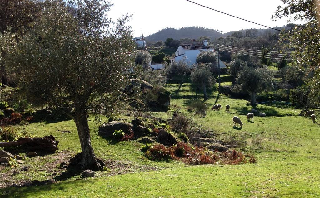 Refugio Da Maceira Βίλα Marvão Εξωτερικό φωτογραφία