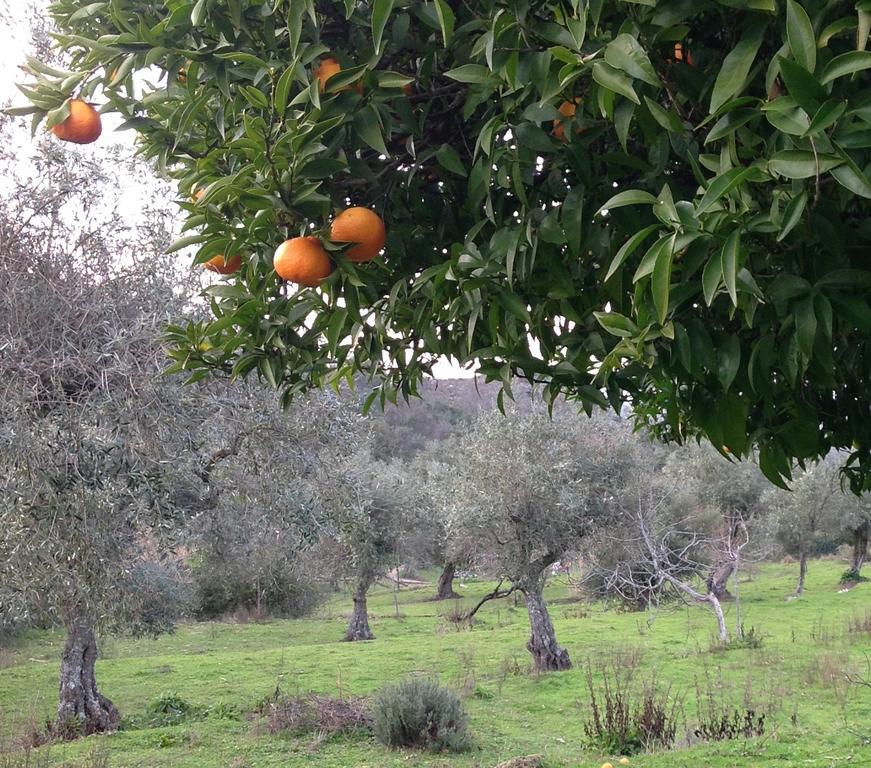 Refugio Da Maceira Βίλα Marvão Δωμάτιο φωτογραφία