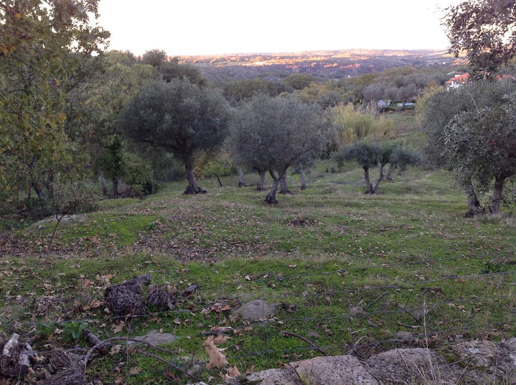 Refugio Da Maceira Βίλα Marvão Δωμάτιο φωτογραφία